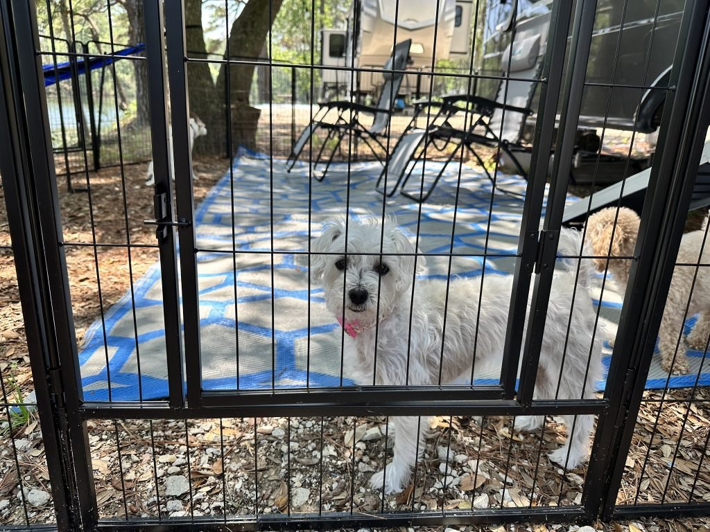 RV Dog Fence Options