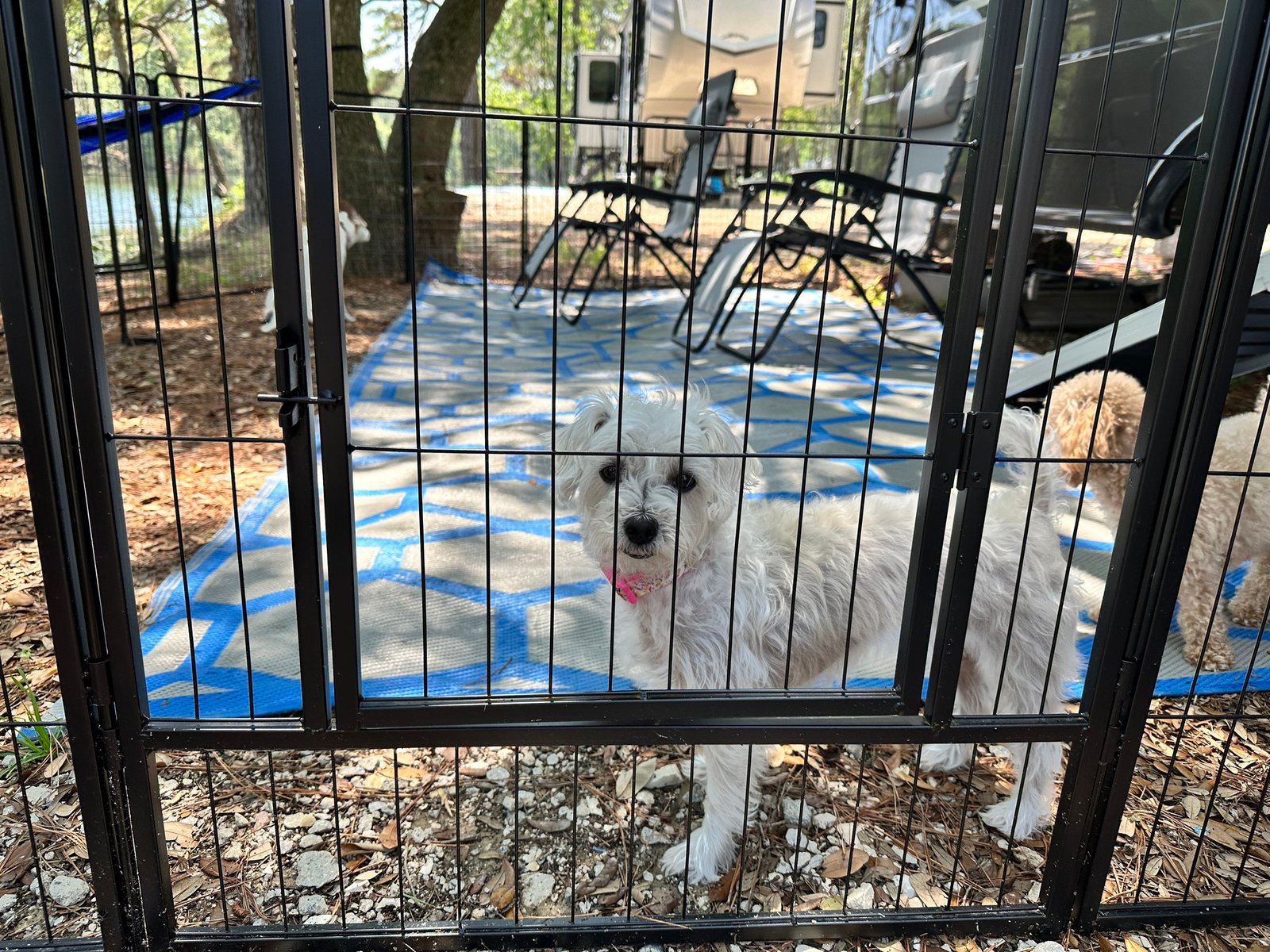 RV Dog Fence Options